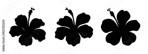 Black hibiscus flower silhouette vector illustration tropical floral design element artwork graphic isolated