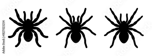 Three black spider silhouette vector illustration for halloween arachnid insect design concept