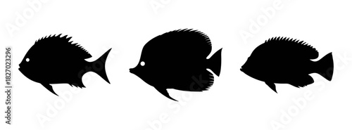 Black silhouette of tropical fish vector illustration ocean sea life underwater wildlife aquarium nature reef fish