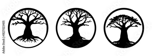 Three black and white tree silhouette illustrations in oval frames nature art design vector