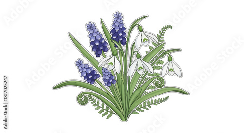 Delicate botanical illustration of a spring bouquet featuring blue grape hyacinths and white snowdrops with green fern leaves