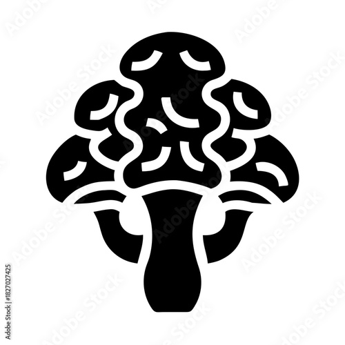 Broccoli or cauliflower vegetable glyph icon for healthy food concepts icon