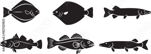 Different Types of Fish Silhouette Illustrations on a White Background Vector