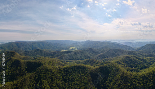 Fototapeta Naklejka Na Ścianę i Meble -  Dense green forest canopy aerial view in Cabreuva countryside, Brazil
