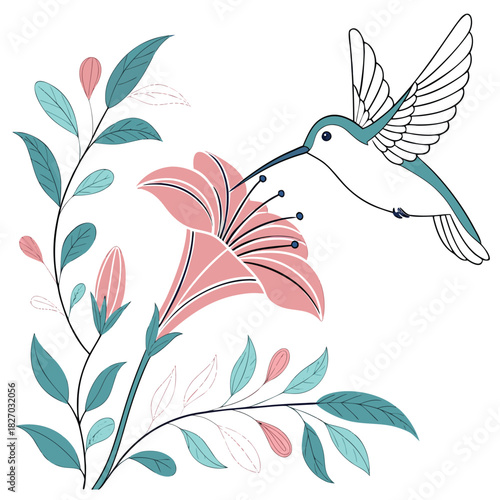 Hummingbird Feeding on a Pink Lily Flower nectar