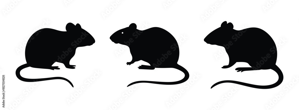 Fototapeta premium Three black rat silhouettes vector illustration rodents pest control design element clip art animal graphic