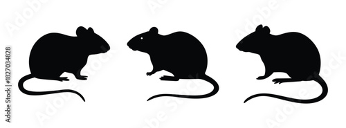 Three black rat silhouettes vector illustration rodents pest control design element clip art animal graphic