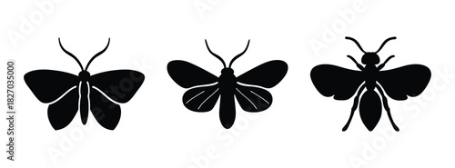 Three black butterfly moth silhouette vector illustration insect nature design graphic art print pattern