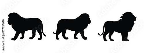 Three lion silhouette vector illustration standing side by side wildlife animal king of beasts africa 