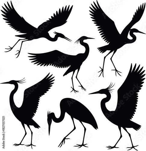 Six black silhouettes of herons in various poses bird
