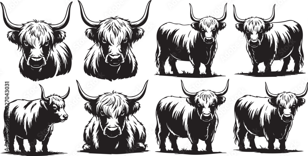 Obraz premium Highland Cattle Vector Illustration Collection Black and White Farm Animals