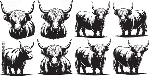 Highland Cattle Vector Illustration Collection Black and White Farm Animals