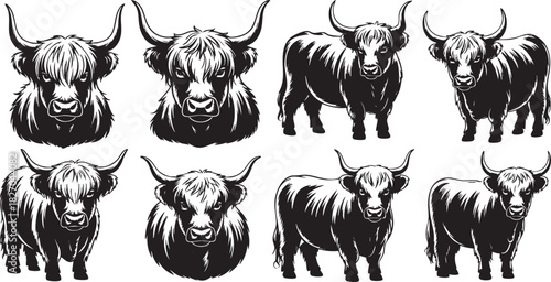 Silhouette Highland Cattle Collection with Long Horns and Shaggy Coat