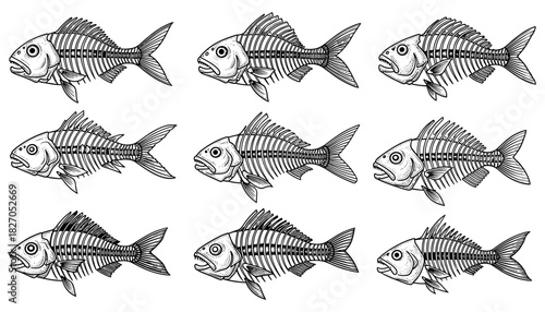 Hand-drawn fish skeletons collection in black and white