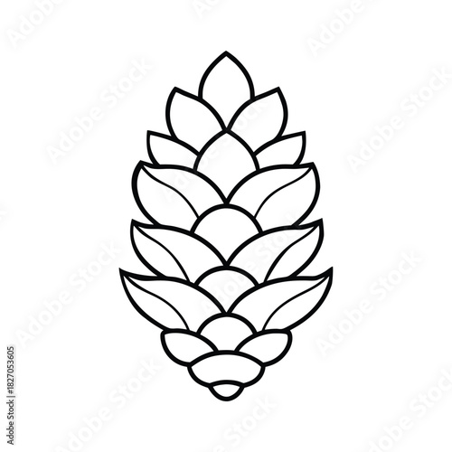 Delicate pine cone line art featuring a simple black and white botanical illustration Vector illustration