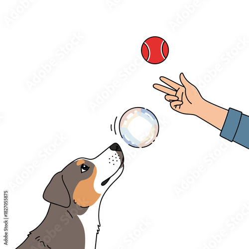 A cute dog and a human hand playing with a red ball and a soap bubble to advertise pet stores, animal training guides, and children's blogs.