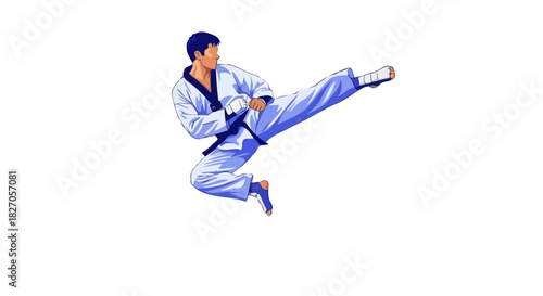 Karate Fighter Performing High Kick – Martial Arts Vector Illustration
