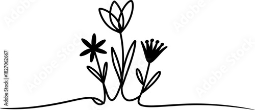 Continuous line art drawing of three abstract stylized flowers and plants with leaves, simple black ink doodle illustration on white. Vector, illustration