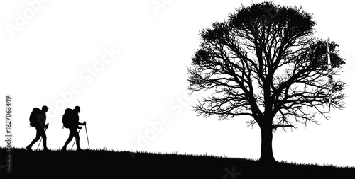 Black silhouette of two hikers with backpacks and trekking poles walking past a large tree on a hill, isolated vector illustration.