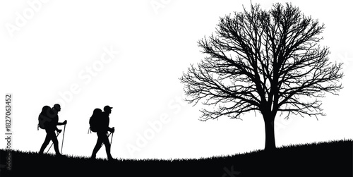 Black silhouette of two hikers with backpacks and trekking poles walking past a leafless tree, isolated vector illustration.