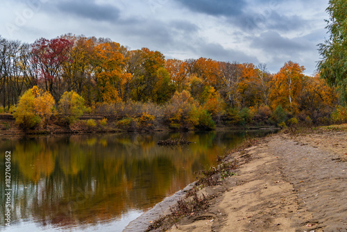 beautiful autumn landscape with river and forest, yellow leaves on trees, cloudy weather