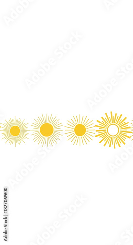 Four Daisy Flowers in Various Stages of Bloom.