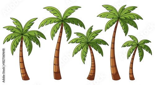 Group of Palm Trees with Green Leaves and Brown Trunks.
