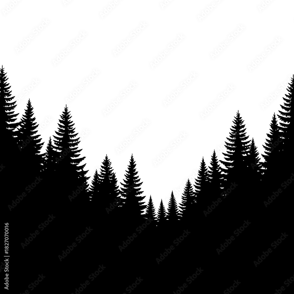Fototapeta premium Silhouette of a Dense Evergreen Forest Against a White Sky.