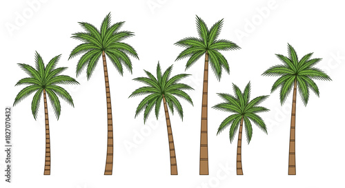 Tropical Palm Tree Collection - Lush Greenery and Exotic Island Vibes.