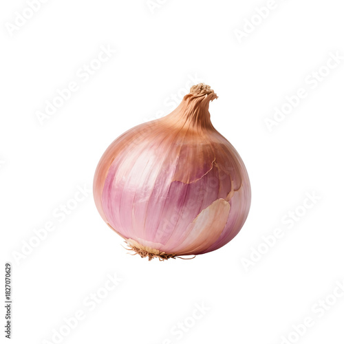 Whole fresh raw red onion or shallot bulb, cooking ingredient