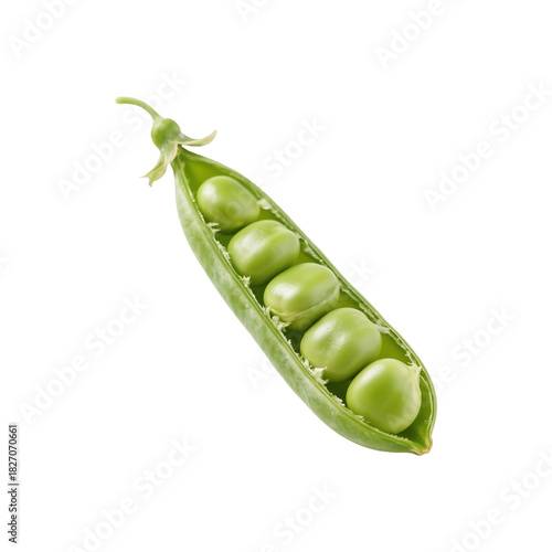 Fresh green peas in an open pod, healthy vegetable food ingredient