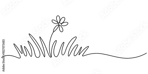 Continuous line art drawing of a minimalist wild flower blooming in lush green grass, simple elegant floral design illustration Vector, illustration