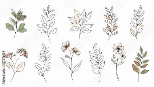 Elegant botanical illustration featuring a variety of delicate leaves and flower arrangements on white background
