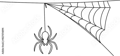 Simple outline drawing of a spider descending from its intricate web, creating a classic halloween and nature-themed graphic design element. Vector, illustration