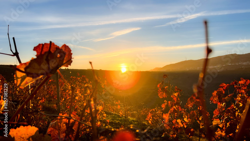 Sunset over ancient terraced vineyards bathed in autumn colors in the romantic Douro Valley, near the UNESCO World Heritage village of Pinhão.