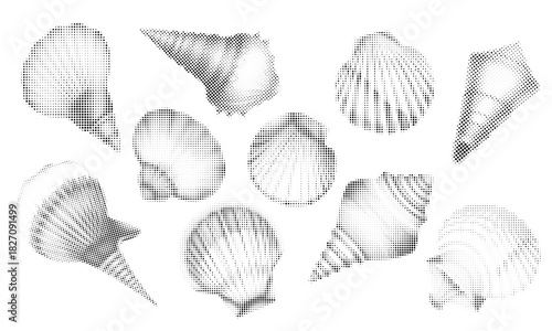 Halftone seashells, marine shell illustration, vector style, dotted shading, clean lines, high-contrast halftone texture, modern coastal design, stylized ocean elements.