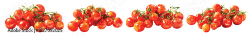 Heap of red cherry tomatoes vegetables watercolor set isolated on transparent background