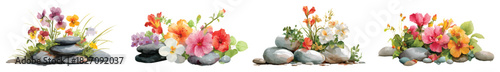 Floral garden arrangement on stones, flowers garden stems watercolor set isolated on transparent background