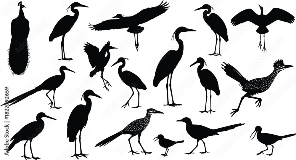 Fototapeta premium Set of wild bird silhouettes featuring heron, crane, peacock, and roadrunner, black vector illustration isolated on white background.