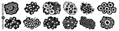 Hand drawn biological cells and bacteria set Vector collection of abstract organic microorganisms viruses and amoeba sketches