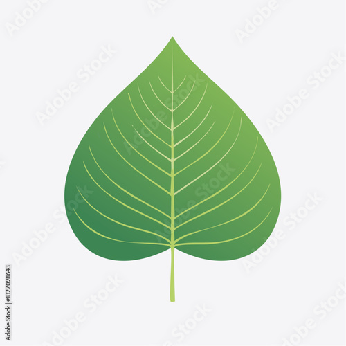 living creatures on earth