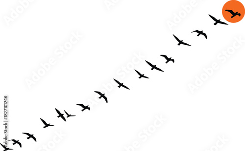 Minimalist Flock of Migratory Birds Silhouette Flying Towards Setting Sun, Diagonal Movement Vector Illustration, Freedom, Travel, and Nature Concept, Isolated White Background Graphic.