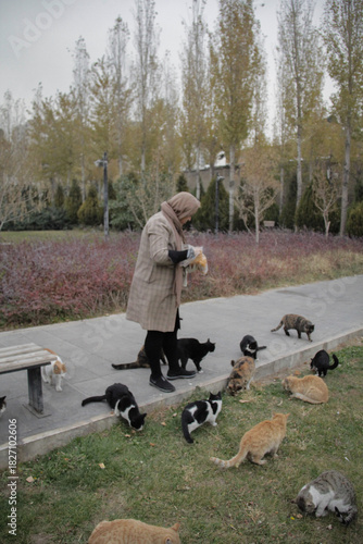 Wallpaper Mural A woman feeding a cat in the cold season in a park in Tehran Torontodigital.ca