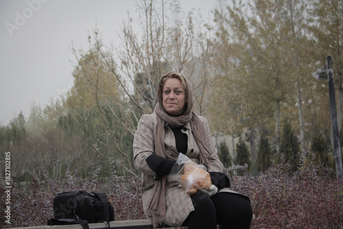 Wallpaper Mural A woman preparing food for cats in the cold season in a park in Tehran Torontodigital.ca