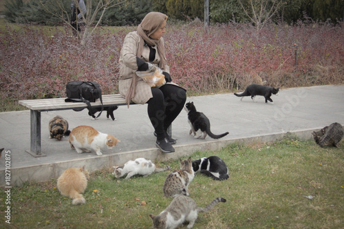 Wallpaper Mural A woman feeding a cat in the cold season in a park in Tehran Torontodigital.ca