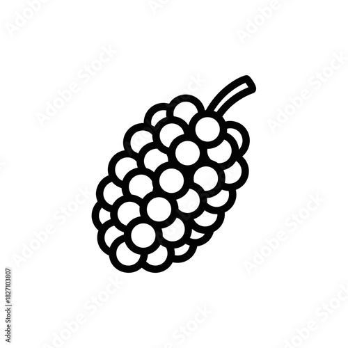 Mulberry illustration in black line art style on white background  