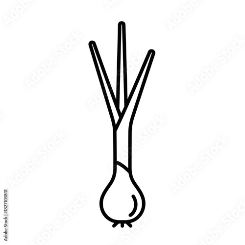 Green onion with fresh stalks displayed on a white background  