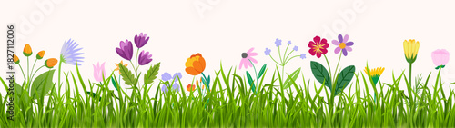 Bright spring wildflowers growing in fresh green grass floral meadow illustration