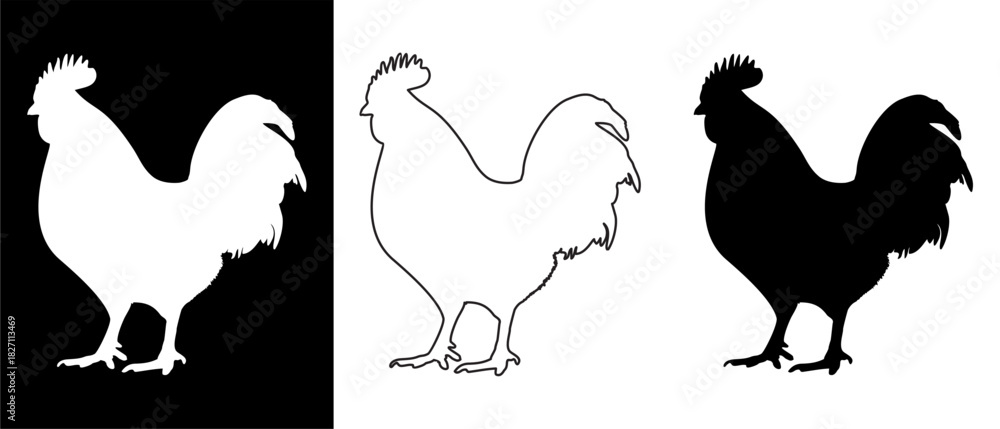 Fototapeta premium Rooster Silhouette Vector Set Black, White, and Outline Illustrations on Contrasting Backgrounds