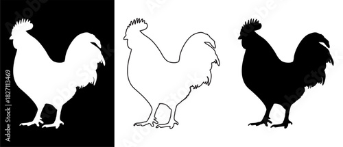 Rooster Silhouette Vector Set Black, White, and Outline Illustrations on Contrasting Backgrounds